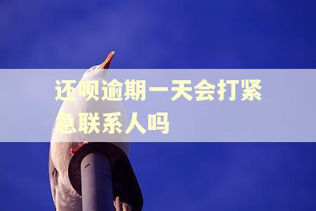还呗逾期一天会打紧急联系人吗