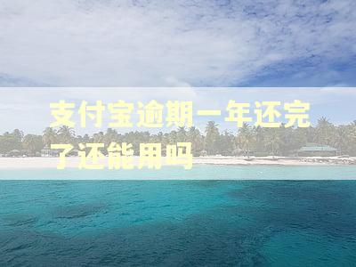 支付宝逾期一年还完了还能用吗