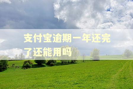 支付宝逾期一年还完了还能用吗