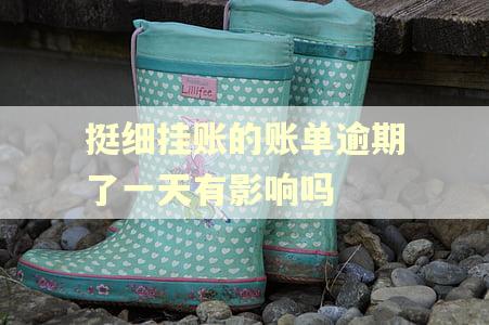 挺细挂账的账单逾期了一天有影响吗
