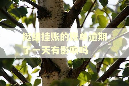 挺细挂账的账单逾期了一天有影响吗