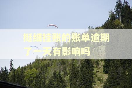 挺细挂账的账单逾期了一天有影响吗