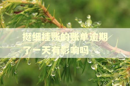 挺细挂账的账单逾期了一天有影响吗 挺细挂账的账单逾期了一天有影响吗