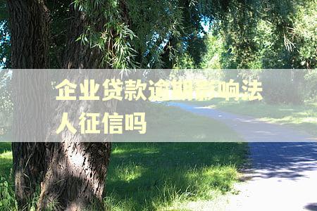 企业贷款逾期影响法人征信吗
