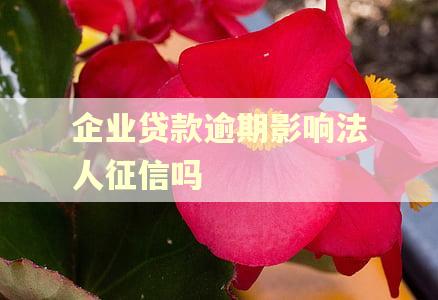 企业贷款逾期影响法人征信吗