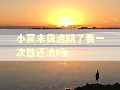 小赢来贷逾期了要一次性还清吗