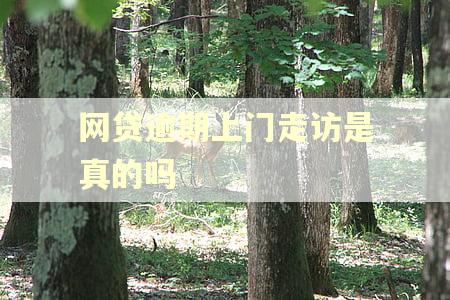 网贷逾期上门走访是真的吗 网贷逾期上门走访是真的吗