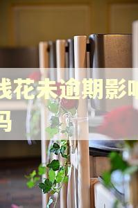 有钱花未逾期影响征信吗