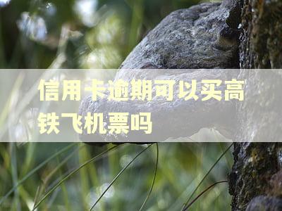 信用卡逾期可以买高铁飞机票吗