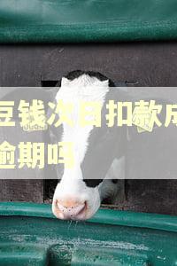 豆豆钱次日扣款成功算逾期吗