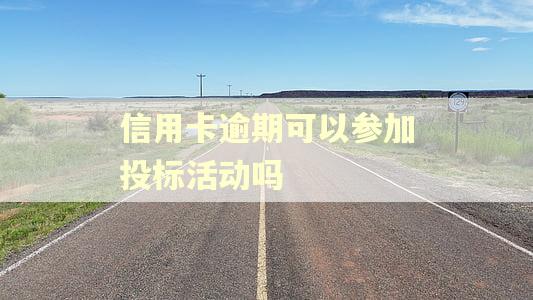 信用卡逾期可以参加投标活动吗