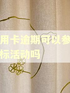 信用卡逾期可以参加投标活动吗 信用卡逾期可以参加投标活动吗