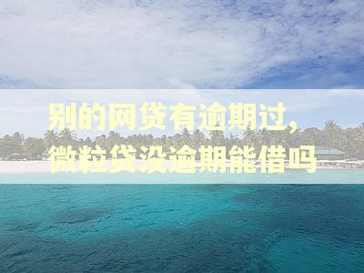 别的网贷有逾期过,微粒贷没逾期能借吗