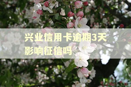 兴业信用卡逾期3天影响征信吗
