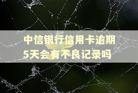中信银行信用卡逾期5天会有不良记录吗