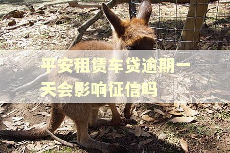 平安租赁车贷逾期一天会影响征信吗 平安租赁车贷逾期一天会影响征信吗