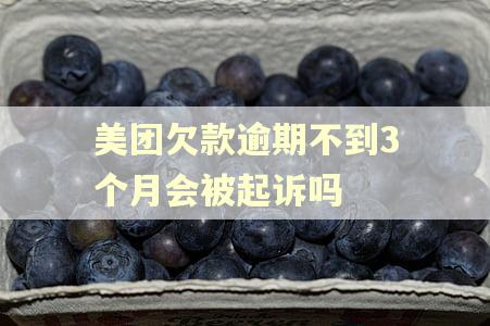 美团欠款逾期不到3个月会被起诉吗