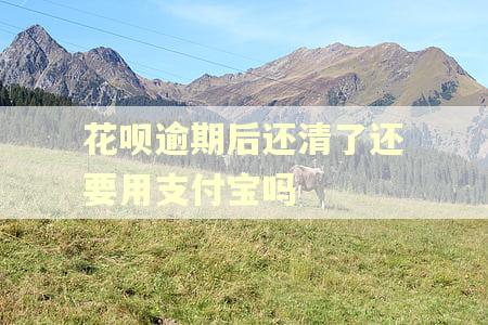 花呗逾期后还清了还要用支付宝吗