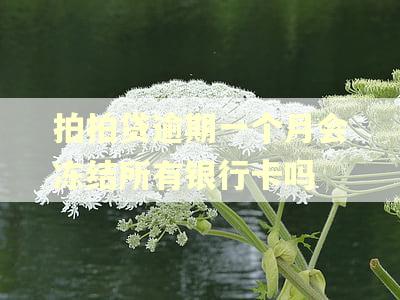 拍拍贷逾期一个月会冻结所有银行卡吗