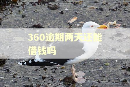 360逾期两天还能借钱吗