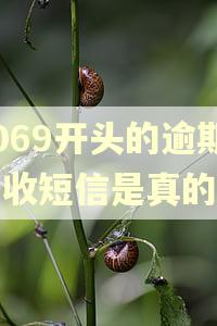 1069开头的逾期催收短信是真的吗 1069开头的逾期催收短信是真的吗