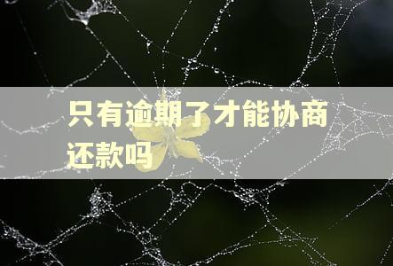 只有逾期了才能协商还款吗