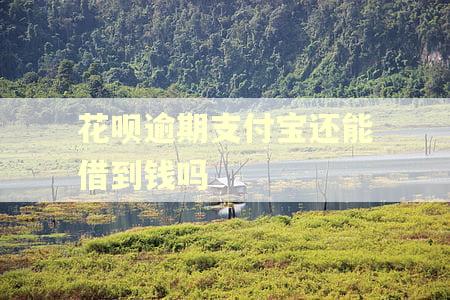 花呗逾期支付宝还能借到钱吗