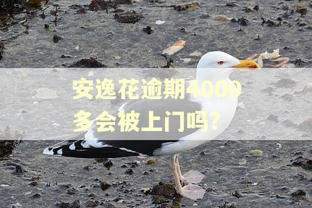 安逸花逾期4000多会被上门吗?