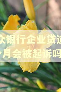 微众银行企业贷逾期5个月会被起诉吗 微众银行企业贷逾期5个月会被起诉吗