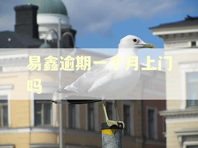 易鑫逾期一个月上门吗