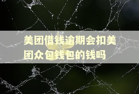 美团借钱逾期会扣美团众包钱包的钱吗