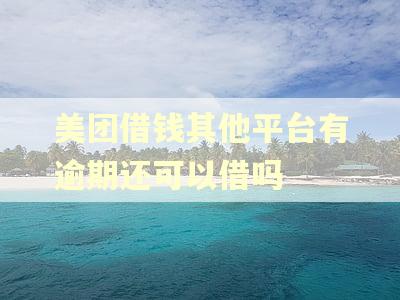 美团借钱其他平台有逾期还可以借吗