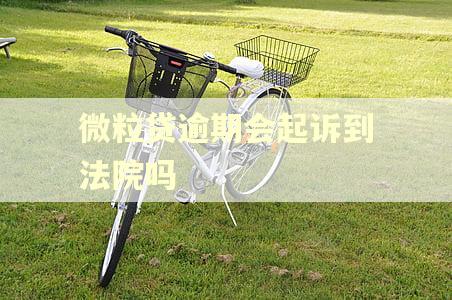微粒贷逾期会起诉到法院吗