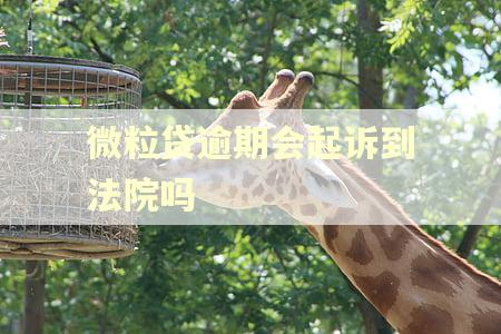 微粒贷逾期会起诉到法院吗