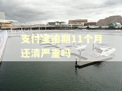 支付宝逾期11个月还清严重吗