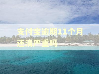 支付宝逾期11个月还清严重吗