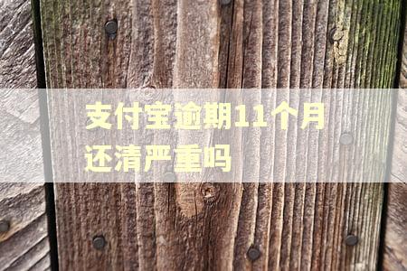 支付宝逾期11个月还清严重吗