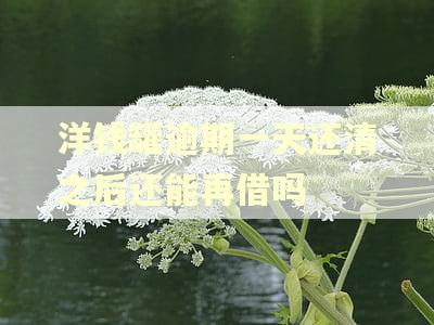 洋钱罐逾期一天还清之后还能再借吗