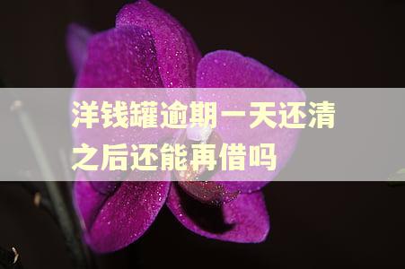 洋钱罐逾期一天还清之后还能再借吗