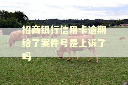 招商银行信用卡逾期给了案件号是上诉了吗