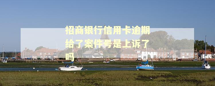 招商银行信用卡逾期给了案件号是上诉了吗