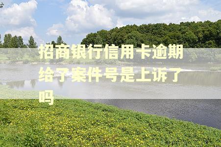 招商银行信用卡逾期给了案件号是上诉了吗