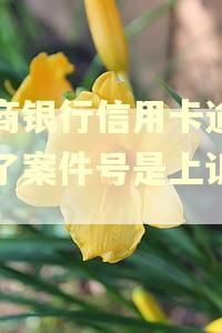 招商银行信用卡逾期给了案件号是上诉了吗