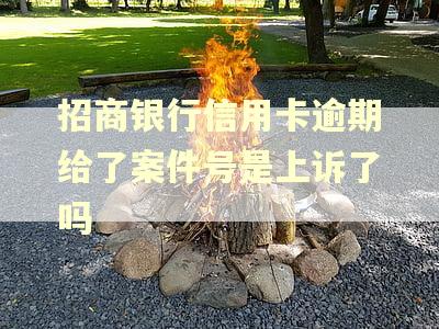 招商银行信用卡逾期给了案件号是上诉了吗 招商银行信用卡逾期给了案件号是上诉了吗
