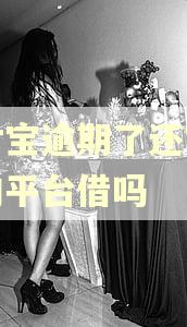 支付宝逾期了还能在别的平台借吗