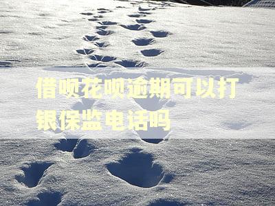 借呗花呗逾期可以打银保监电话吗