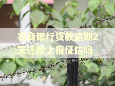 农商银行贷款逾期2天还款上报征信吗 农商银行贷款逾期2天还款上报征信吗