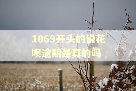 1069开头的说花呗逾期是真的吗