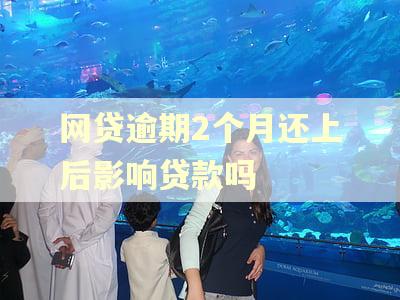 网贷逾期2个月还上后影响贷款吗