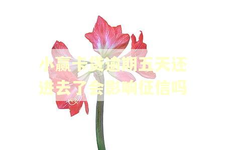 小赢卡贷逾期五天还进去了会影响征信吗